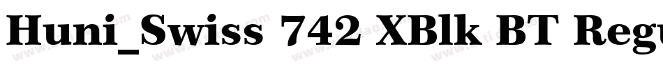 Huni_Swiss 742 XBlk BT Regular字体转换